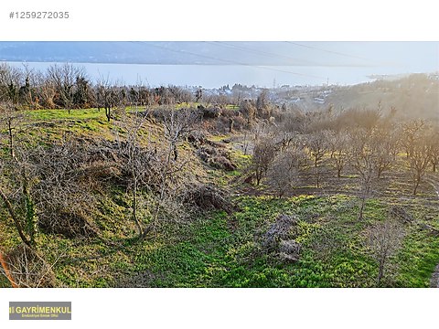 BALIKESİR DURSUNBEY DE SATILIK 2.808 ² TARLA