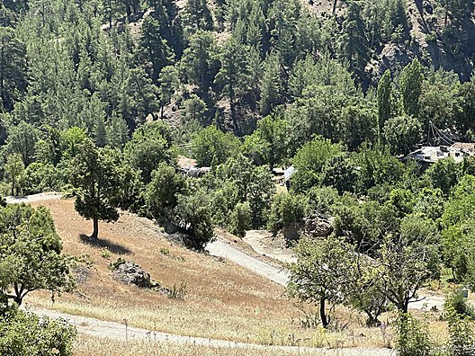 Fotoğraf