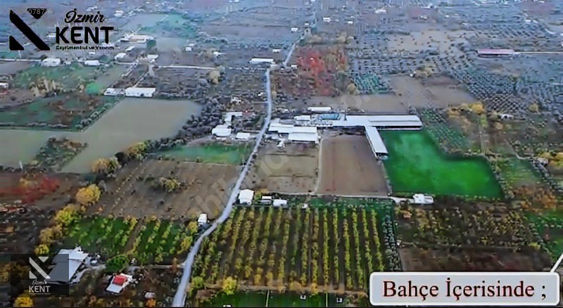 Fotoğraf