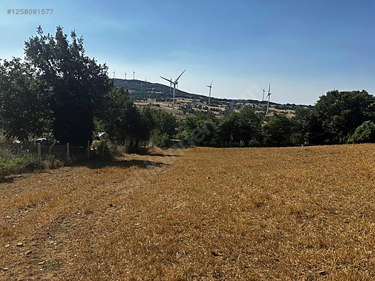 BALIKESİR KARESİ YEROLUK  KÖYÜNDE  2.621 M²  ARSA  SATILIKTIR