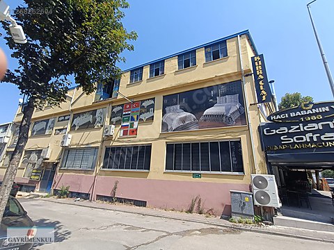 Fotoğraf
