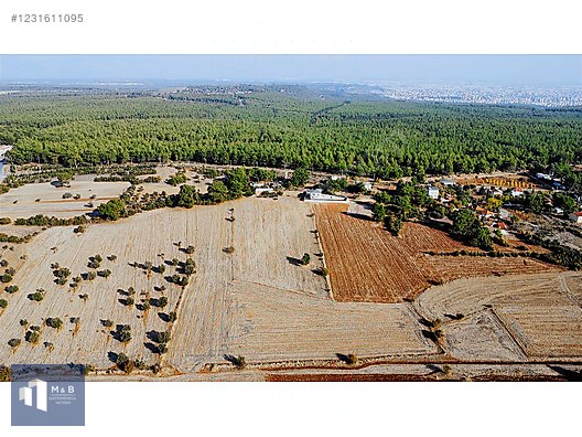 Fotoğraf