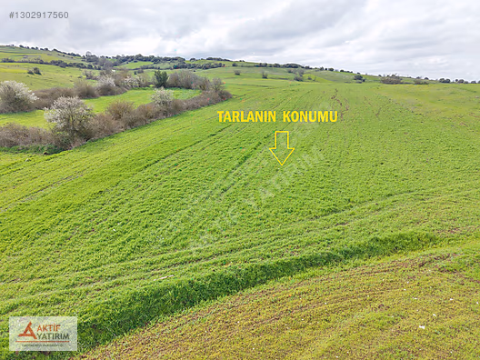 KANDIRA'YA YAKIN BALCI'DA 326 M2 TOPRAK REFORMU İÇİNDE TARLA