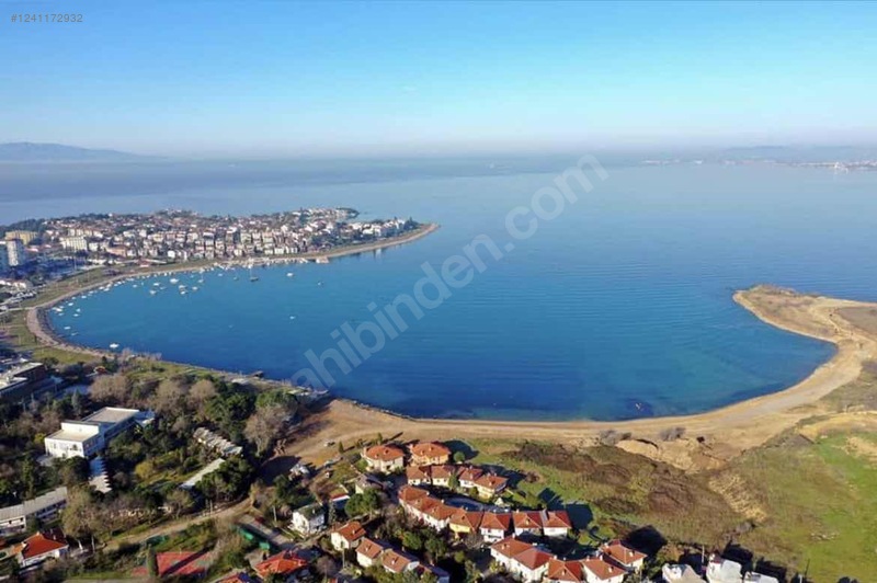 Fotoğraf
