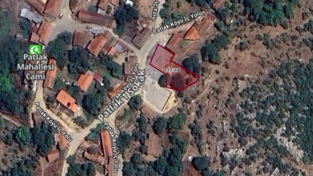 Fotoğraf