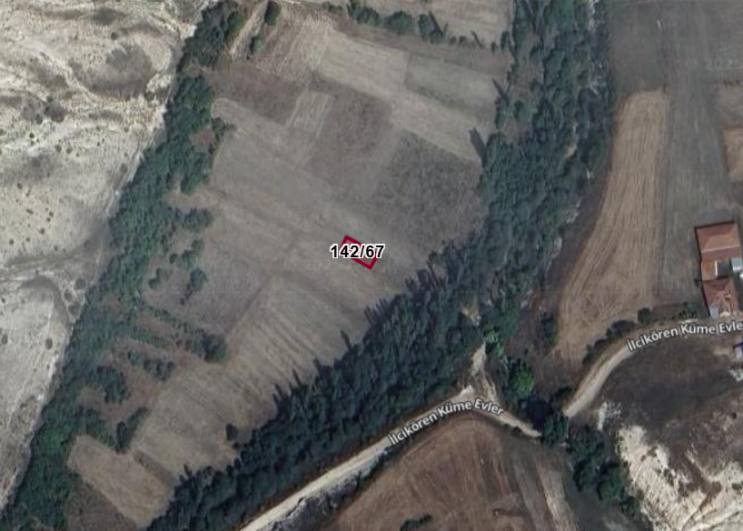 Fotoğraf
