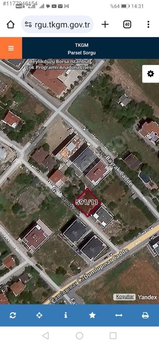 Fotoğraf