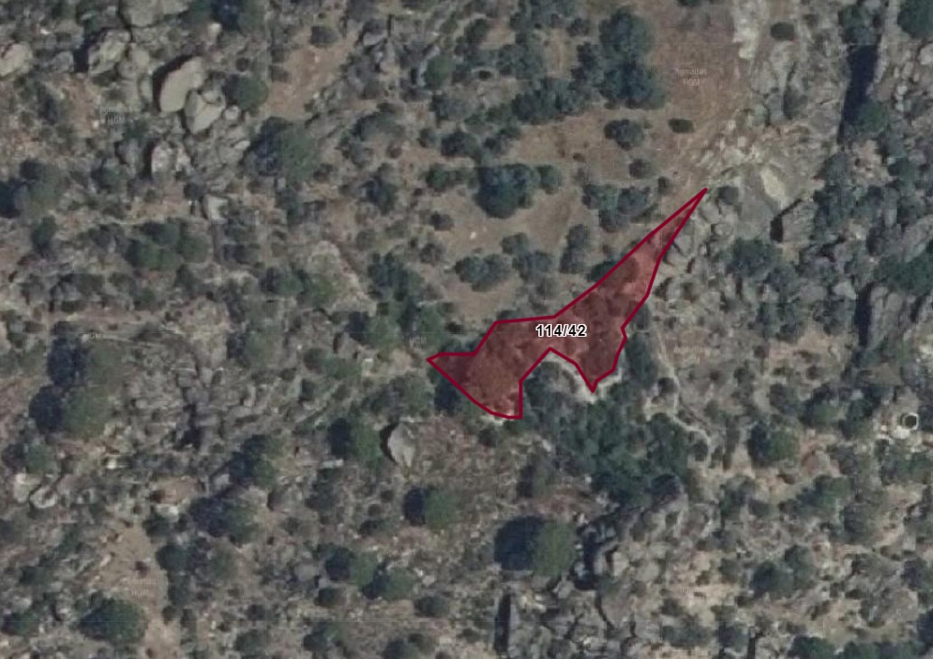 Fotoğraf