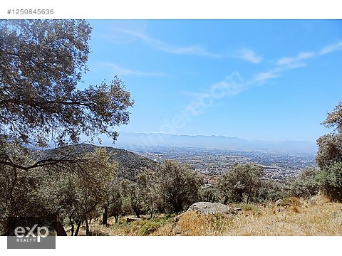 Bayındır Toki Konutları Üstü Müstakil Tapulu 612 m2 Zeytinlik