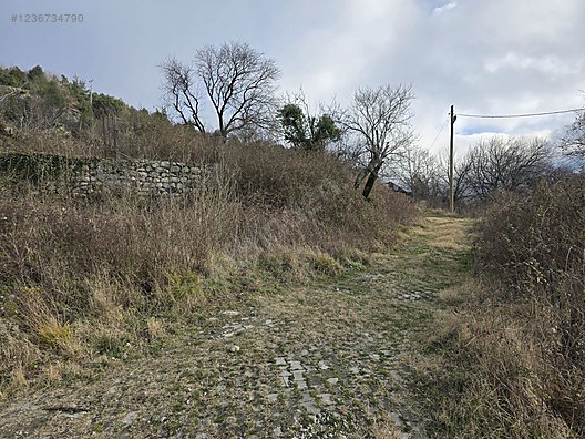 İlan Fotoğrafı