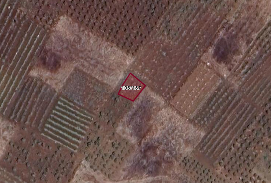 Fotoğraf