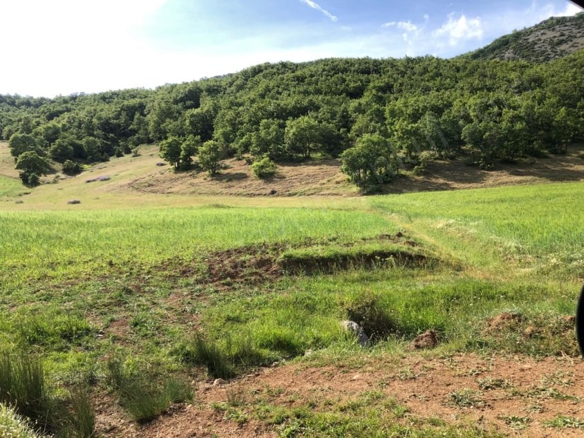 Fotoğraf