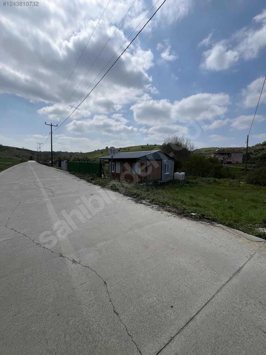 Fotoğraf