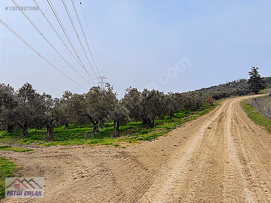 İlan Fotoğrafı