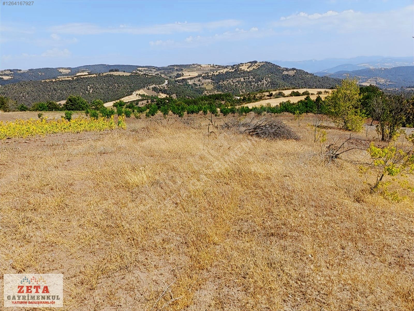 Bilecik Karaahmetler'de Yatırımlık 23.460 m² Satılık Tarla