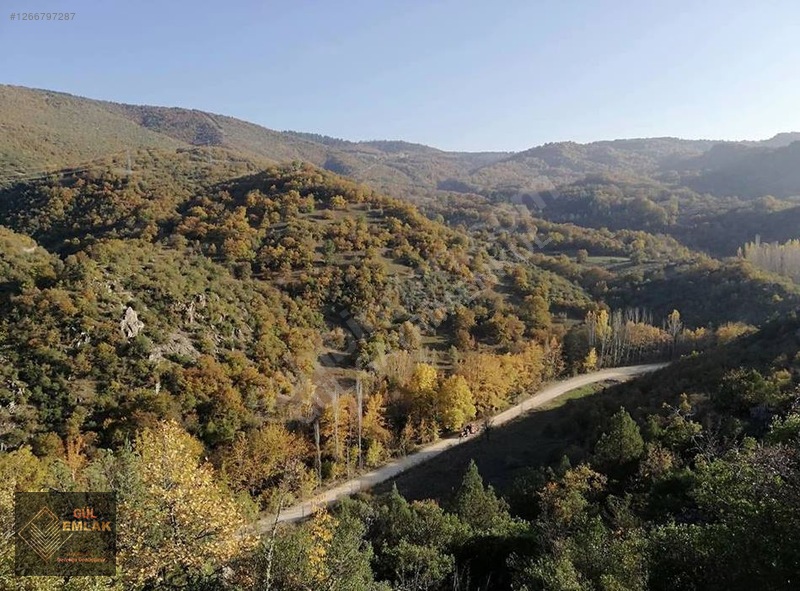 İlan Fotoğrafı