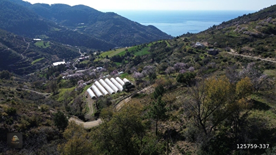 Fotoğraf
