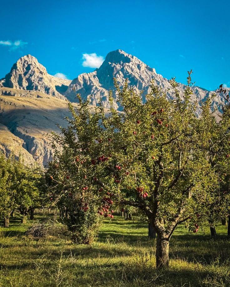 Fotoğraf