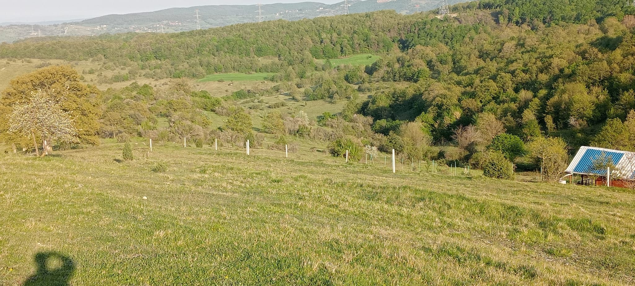  KOCAELİ KANDIRA ÇAKMAKLAR   KÖYÜNDE 182 M²  TARLA SATILIKTIR