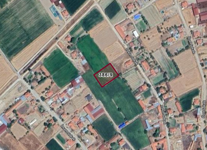 Fotoğraf