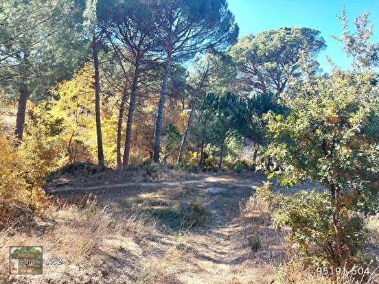 KOZAK YAYLASINDA KARAVELİLER MAH DE 5950 m2 EV İMARLI FISTIKLIK