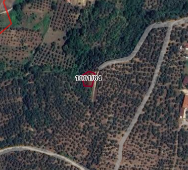Fotoğraf