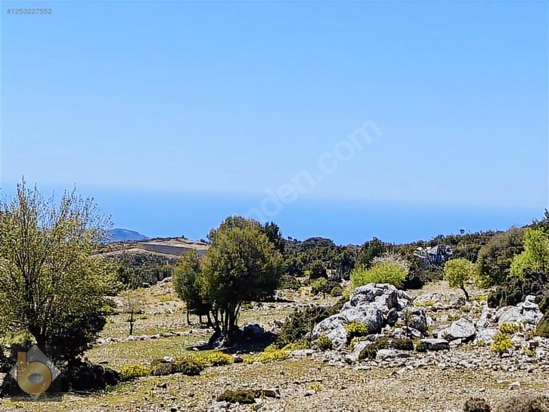 İlan Fotoğrafı