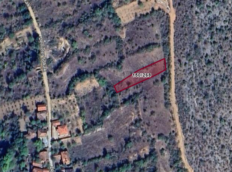 Fotoğraf