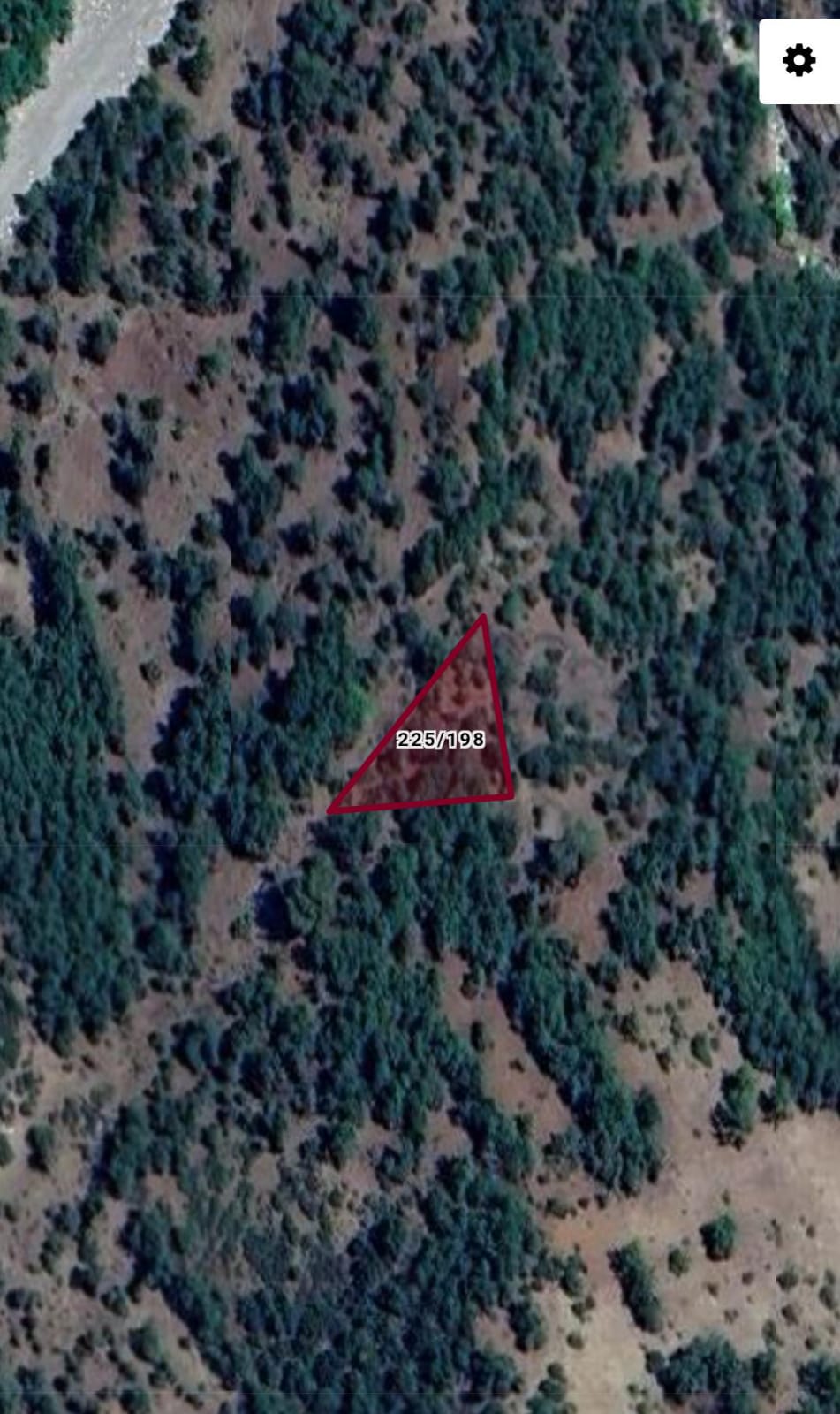 Fotoğraf