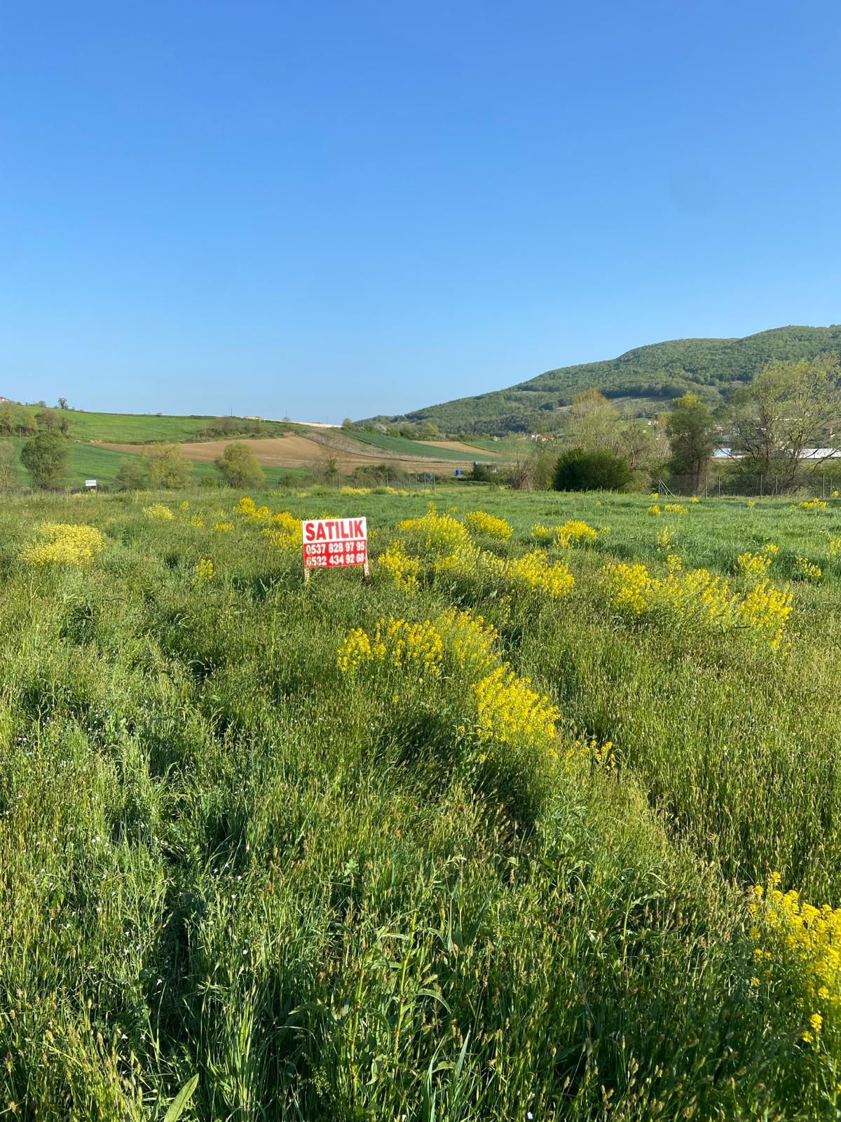 Fotoğraf