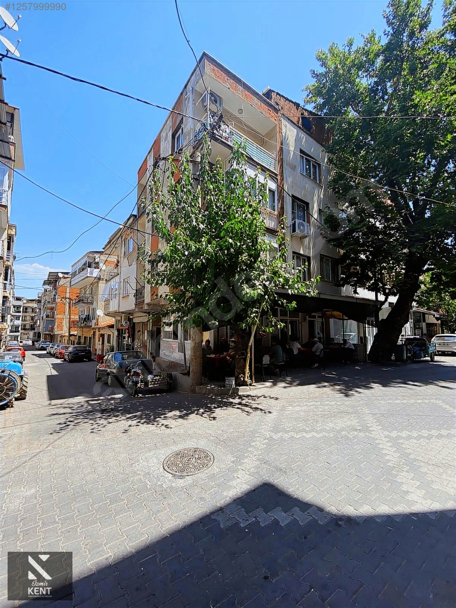 Fotoğraf