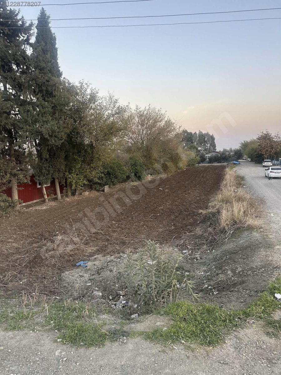 Fotoğraf