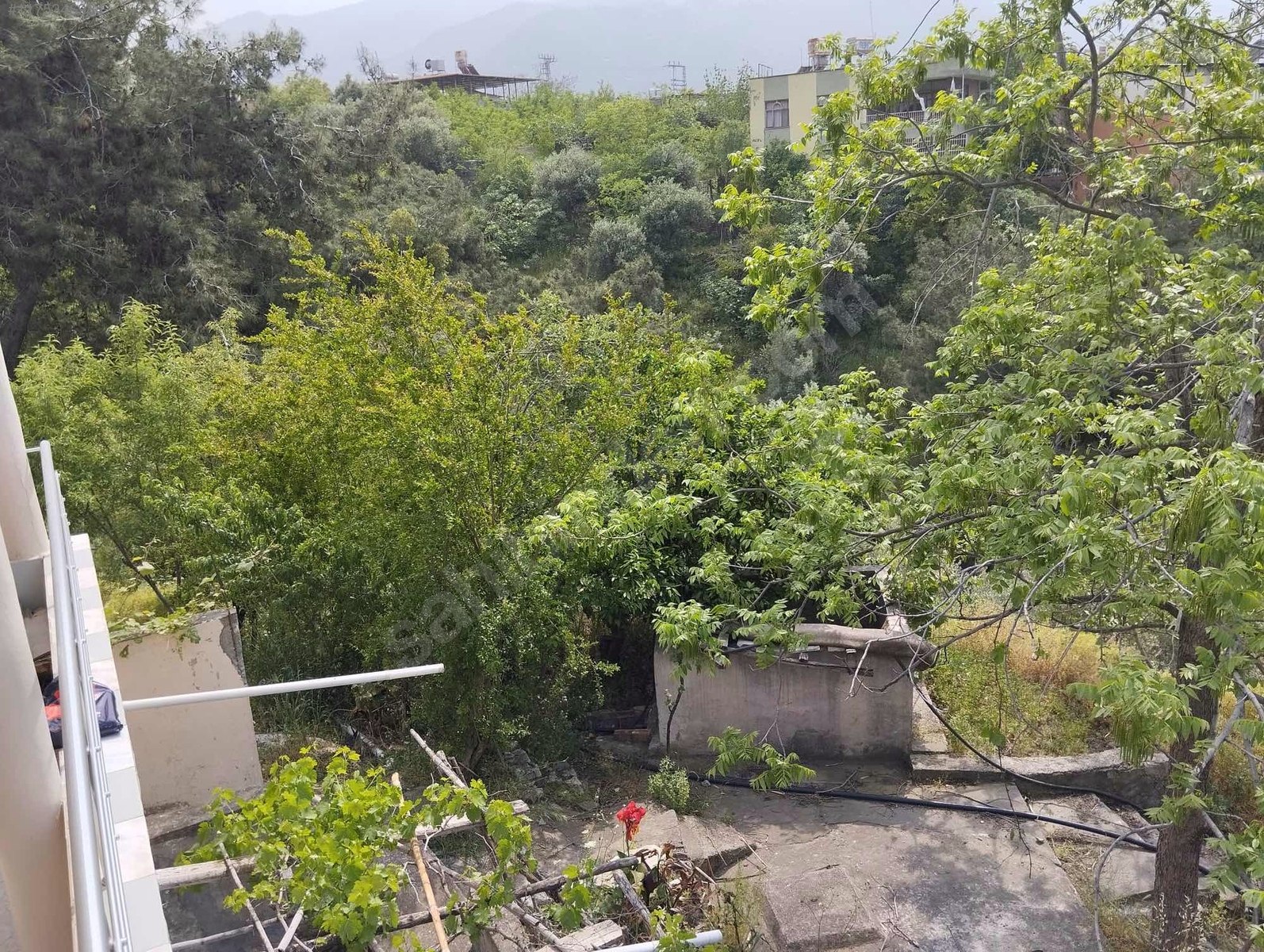 Fotoğraf