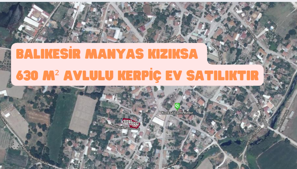 Fotoğraf