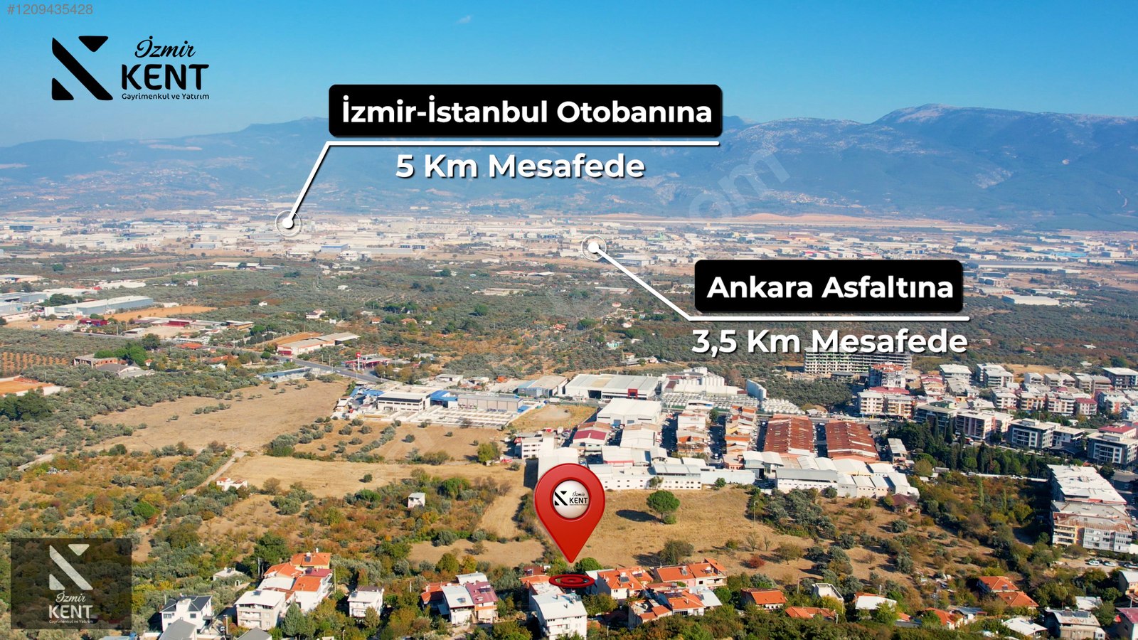 Fotoğraf