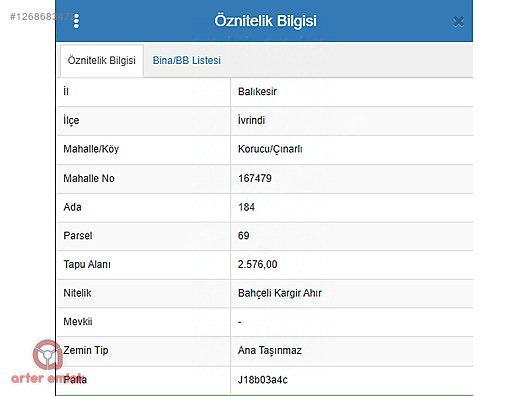 Fotoğraf