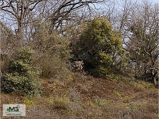 KOCAELİ KANDIRA AKDURAK FIRSAT ÜRÜNÜ KELEPİR ARSA