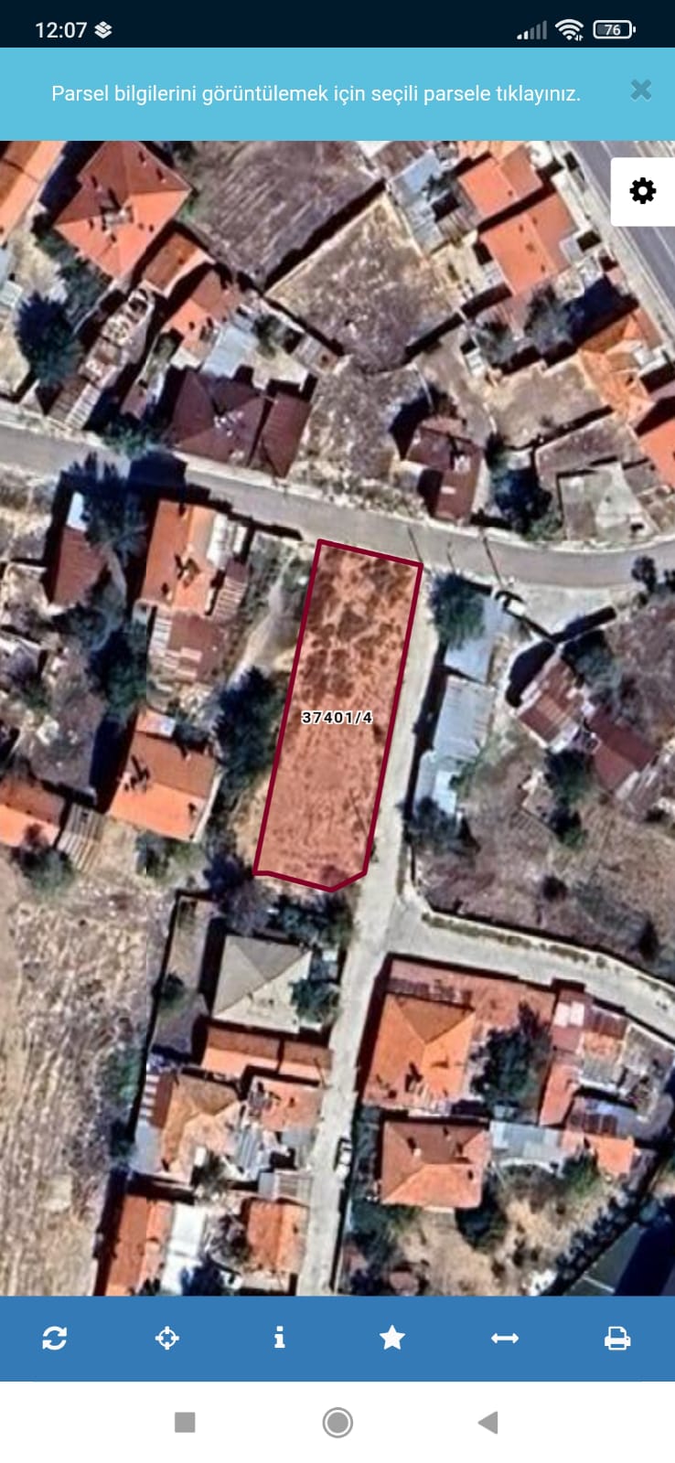 Fotoğraf