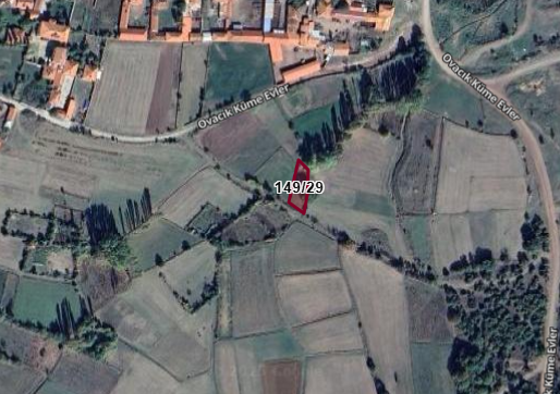 Fotoğraf