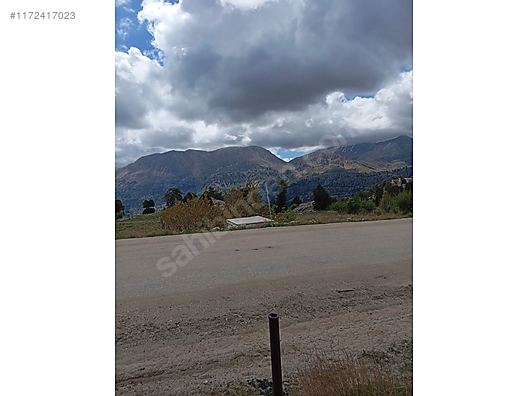 Fotoğraf
