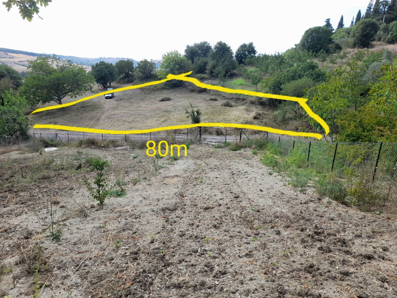 Fotoğraf
