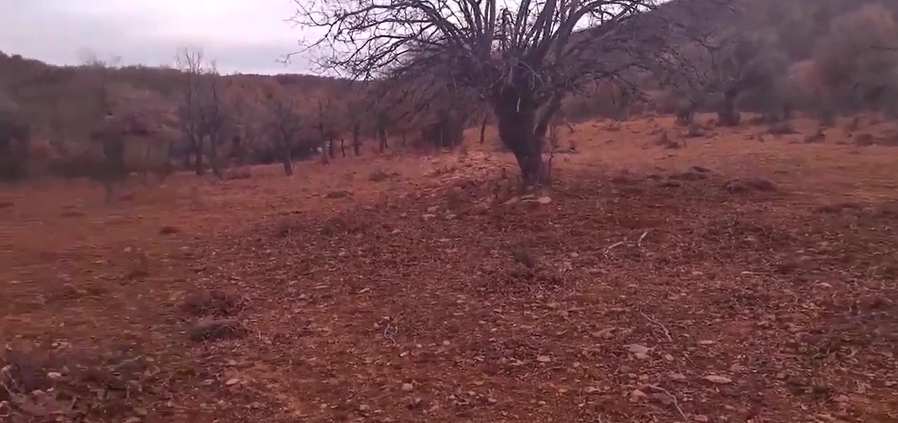   KONYA BOZKIR HACILAR  KÖYÜNDE 4.809 M² TARLA  SATILIKTIR