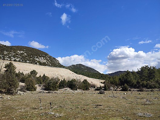İlan Fotoğrafı