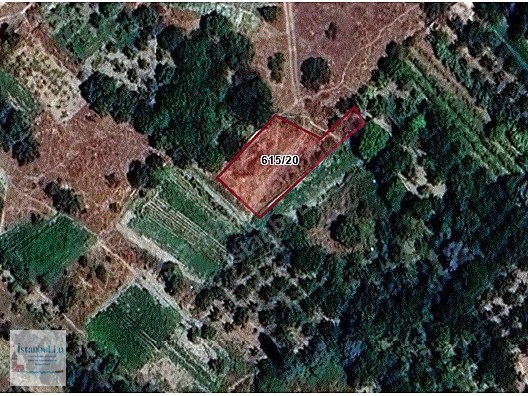 KÖYÜN TAM ORTASINDA 517 M2