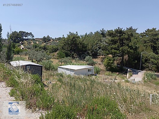İlan Fotoğrafı