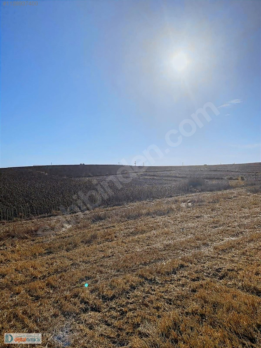 İlan Fotoğrafı