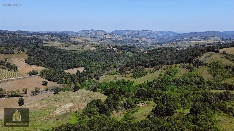 ALTINOVA ÖRENCİKTE 6982 M2 YOLA 66 M YATIRIMA UYGUN MÜSTAKİL