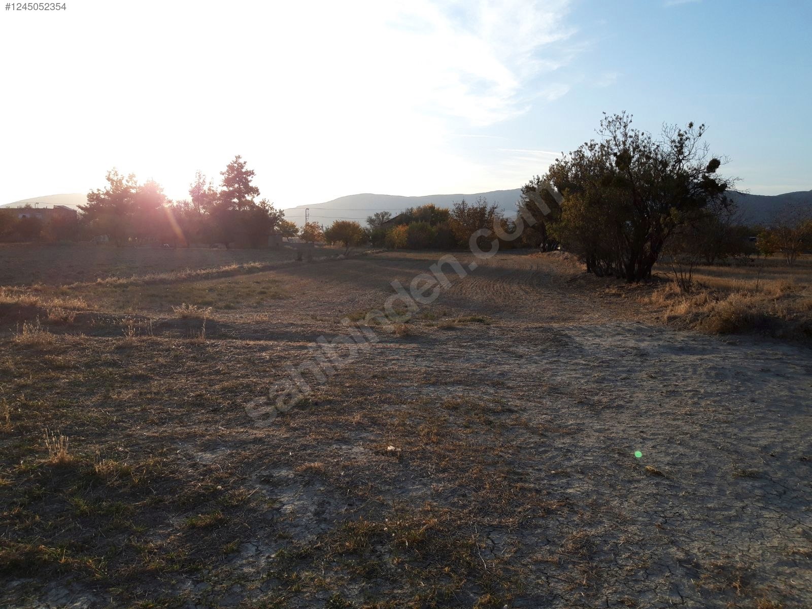 Fotoğraf