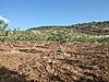 İlan Fotoğrafı