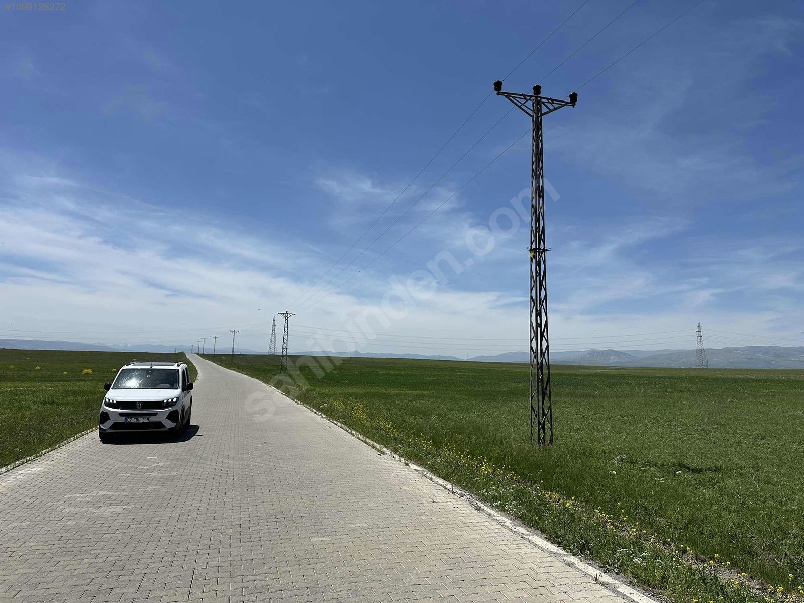Fotoğraf